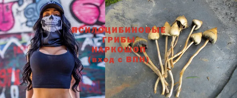 hydra ССЫЛКА  Кумертау  Галлюциногенные грибы Magic Shrooms  купить наркотик 